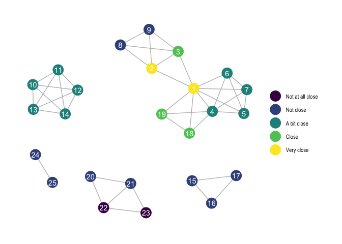Visualization of a network for one of the respondents