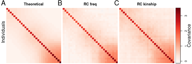 Plot showing agreement of theoretical and  RC kinship covariance matrices