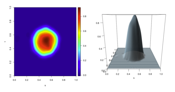 Contour Plot and 3D Plot of Functional Lasso