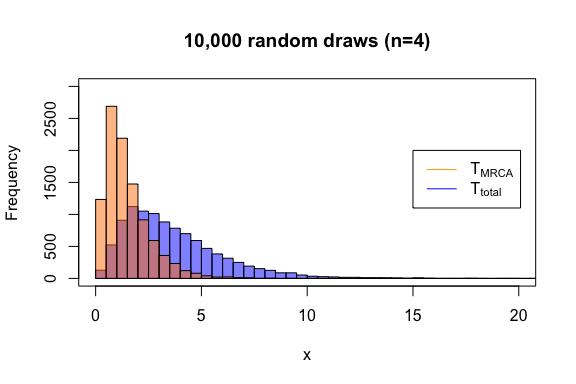 Histogram of Phase Type Distribution