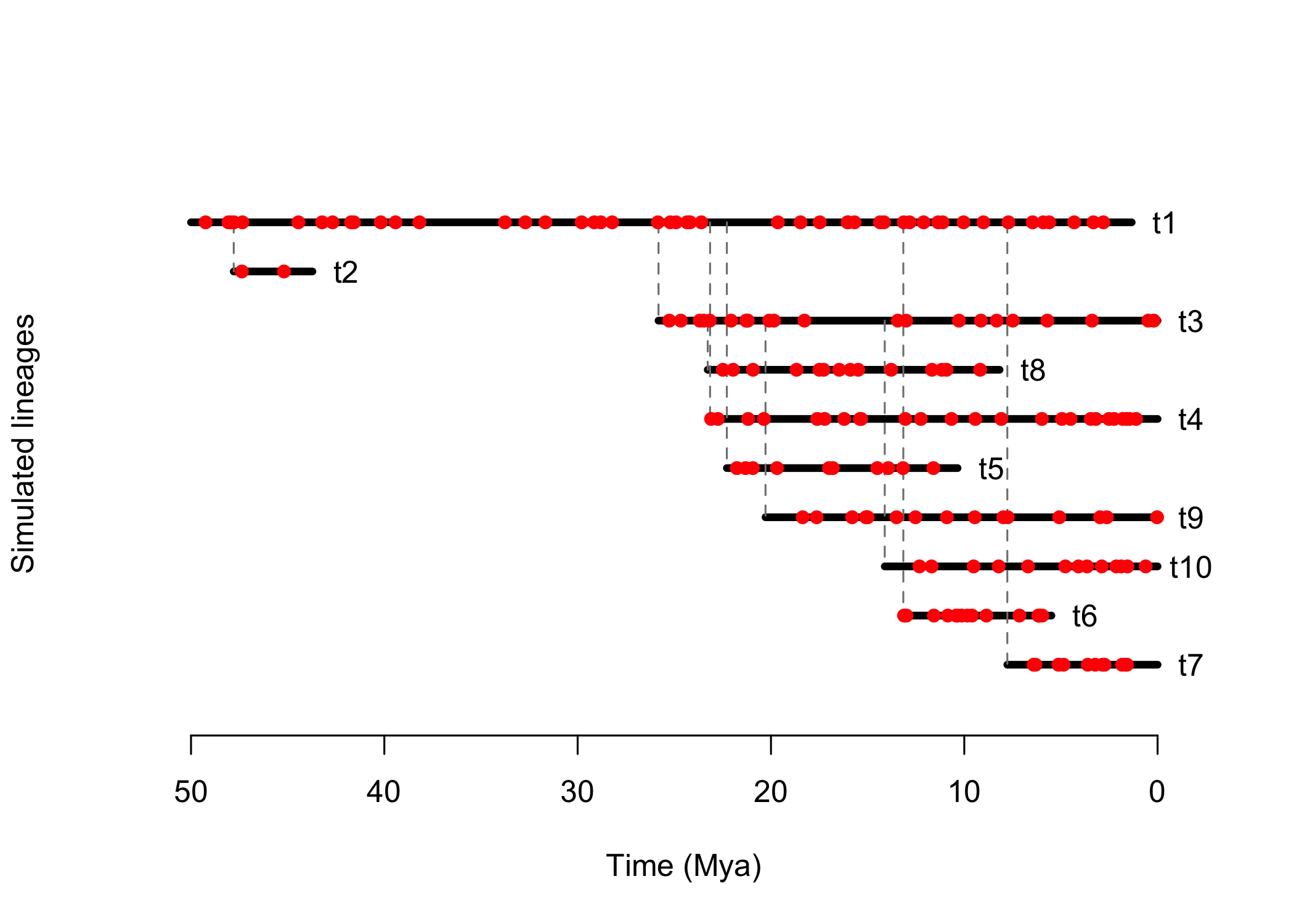 Plot of simulated lineages