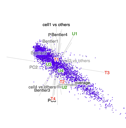 2D projection of RNA sequence