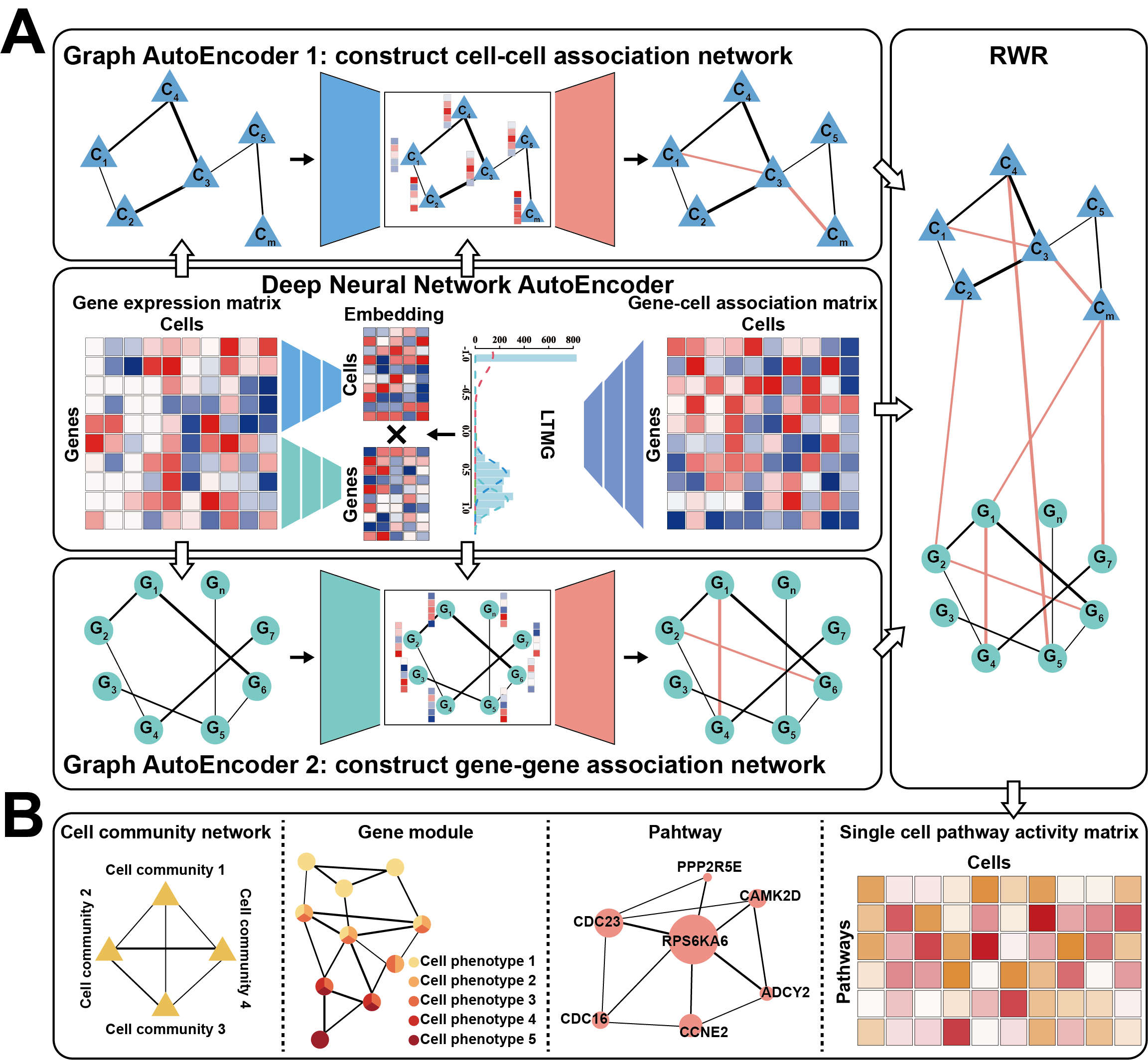 A schematic overview of the scapGNN framework