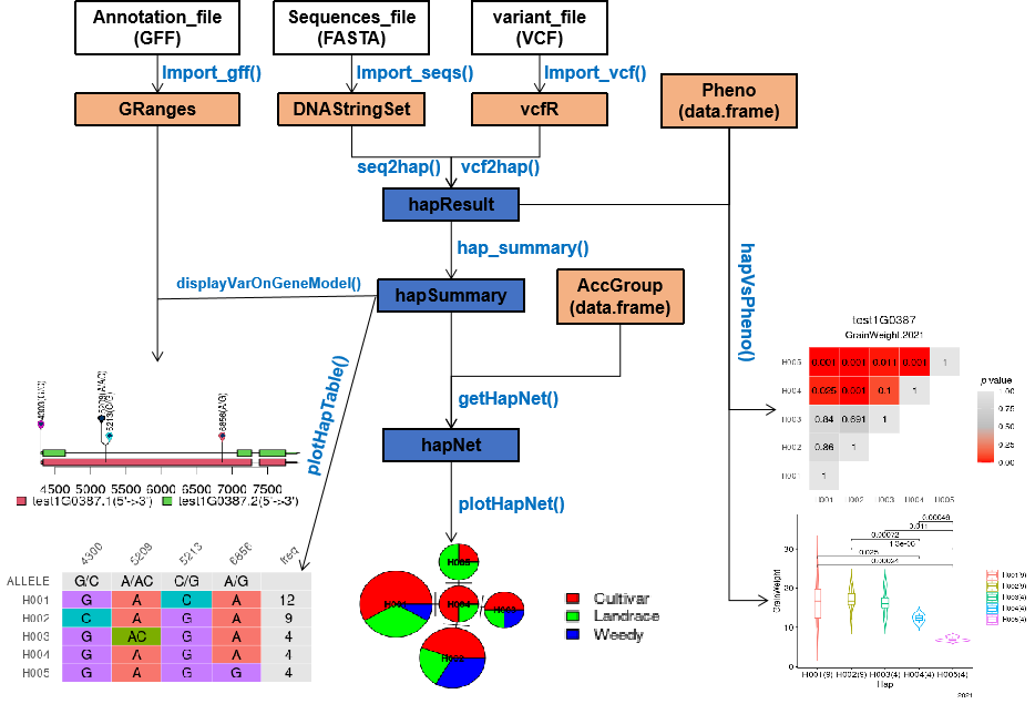 Workflow diagram