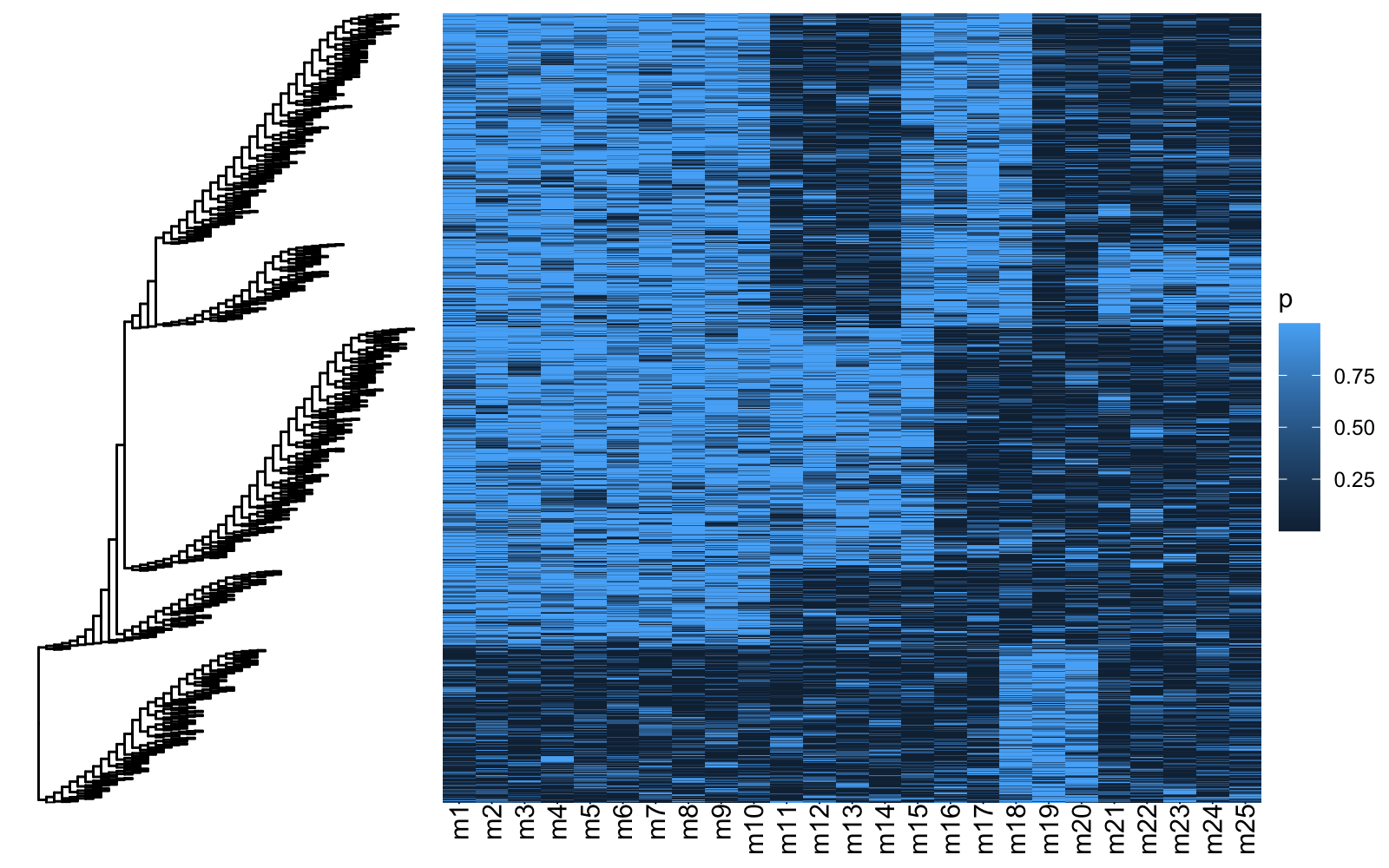 Visualization of maximum likelihood tree