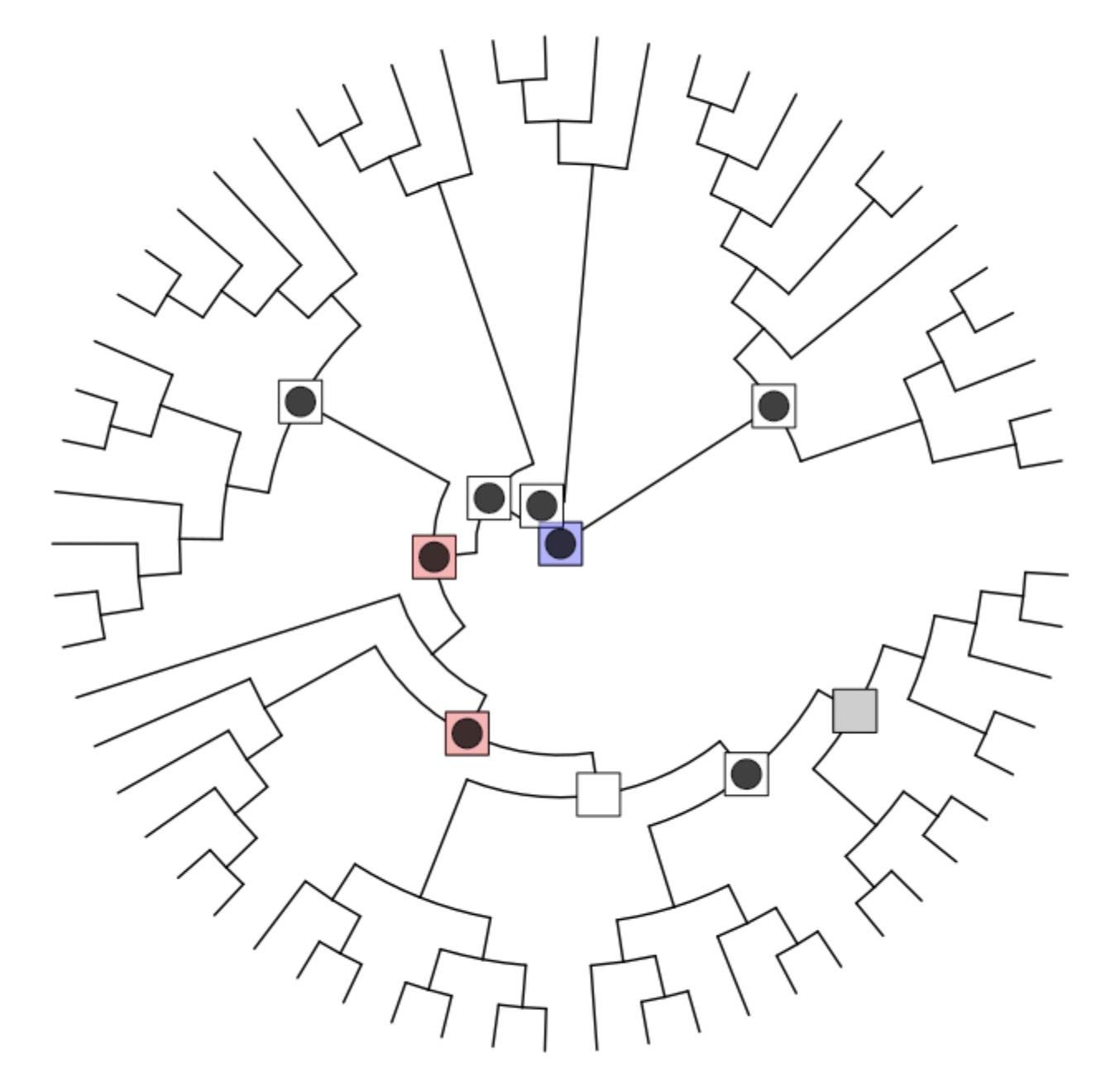 Circular tree plot