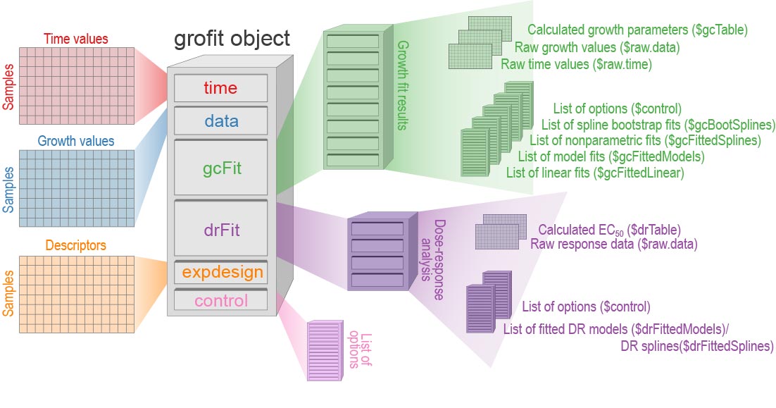 Diagram of the internal structure of a grofit object generated by growth.workflow()