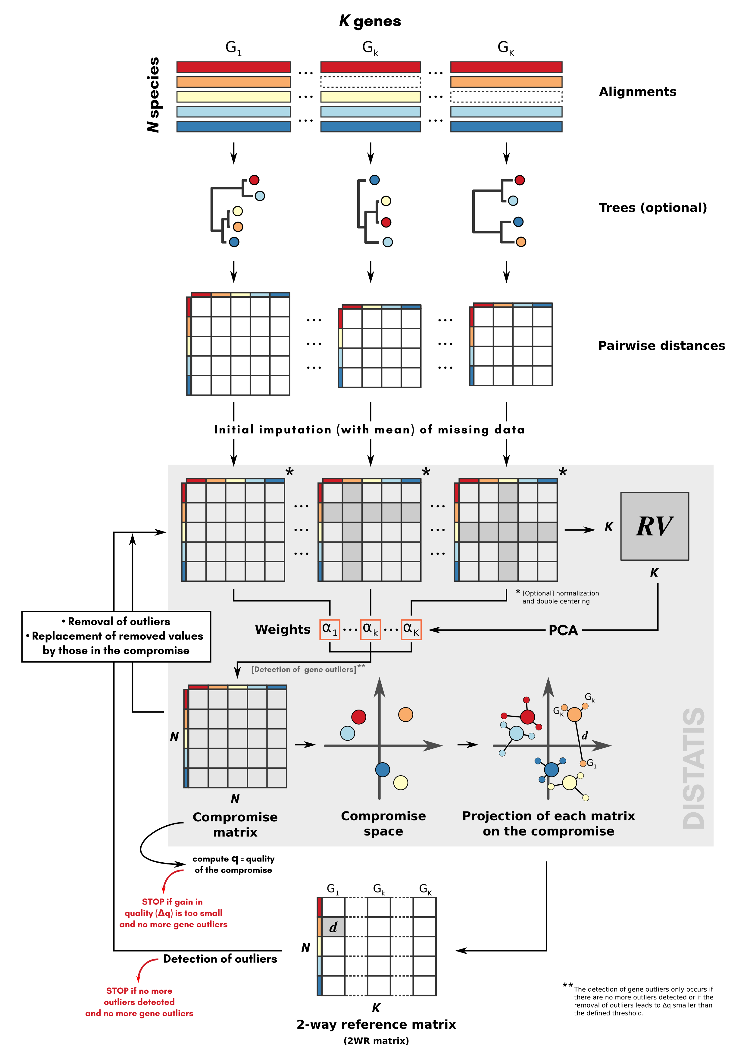 Flow diagram of the process