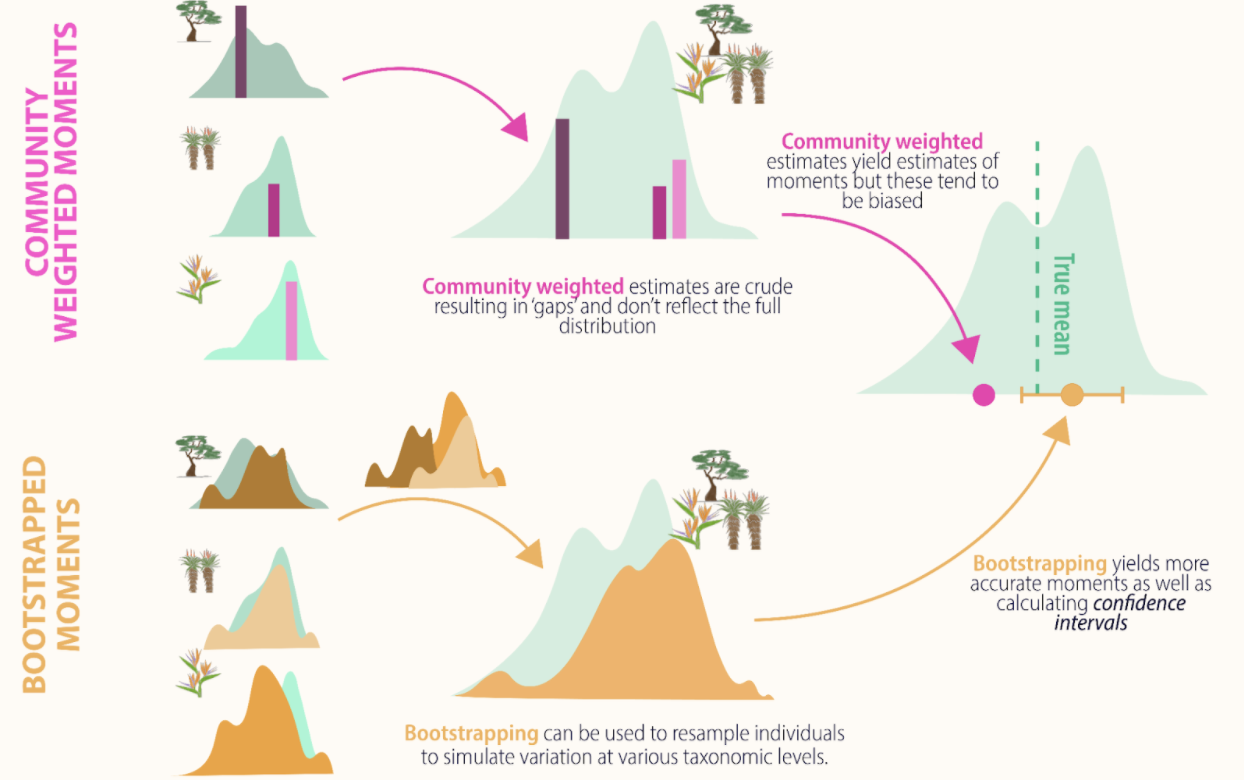 traitstrap workflow diagram