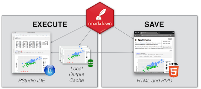 Notebooks store output in a local cache. The cache is used for the IDE and for saved output. Notebooks save their output to a dual file format that contains both HTML and the source code.